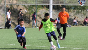 足球职业队是否存在年龄限制，背后真相引人深思