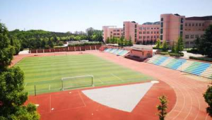 女生校园足球前景几何：潜力待掘还是发展受限？