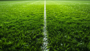 飞盘足球草坪晚上能玩吗?探索夜幕下草坪运动的可行性