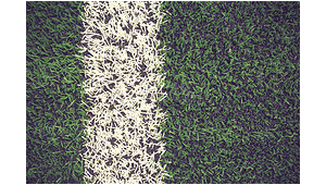 足球上有白绿色的吗？探寻独特色彩足球的奥秘