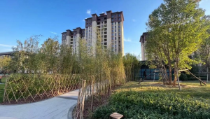 燕郊冬天是否有足球场，你知道答案吗