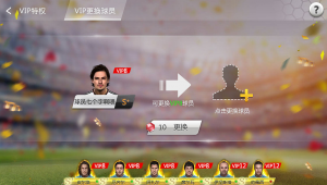 足球vip票能看到球员吗？答案就在这张特别门票的背后！