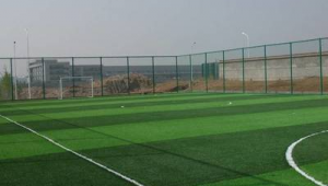 廊坊附近冬天有足球场吗 探寻冬日足球场地踪迹